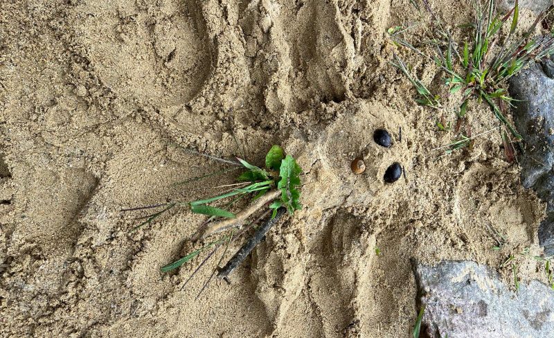Sandlkunst_2